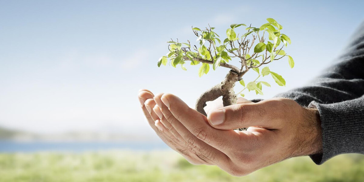 Rispettiamo l'ambiente