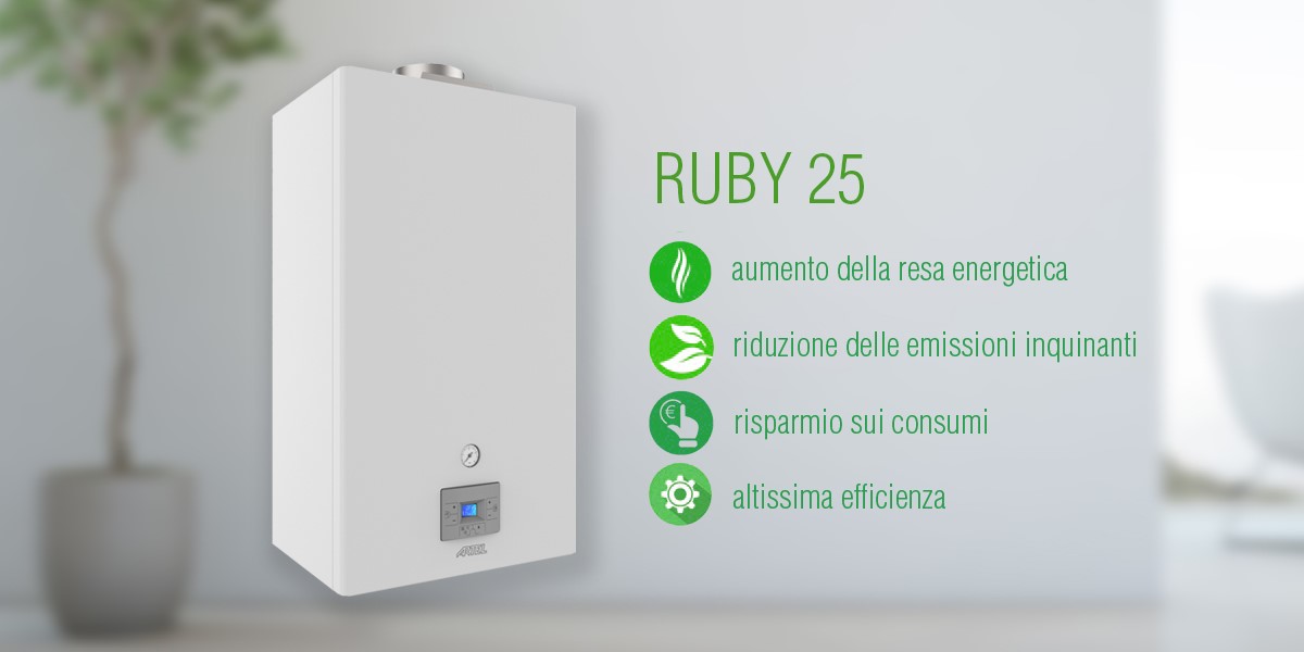 Caldaia gas a condensazione Ruby Caldaia gas a condensazione Ruby